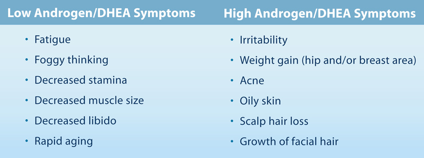 DHEA: A Foundation Or The Wall | Wholestic Nutrition DHEA: A Foundation Or The Wall | Wholestic Nutrition